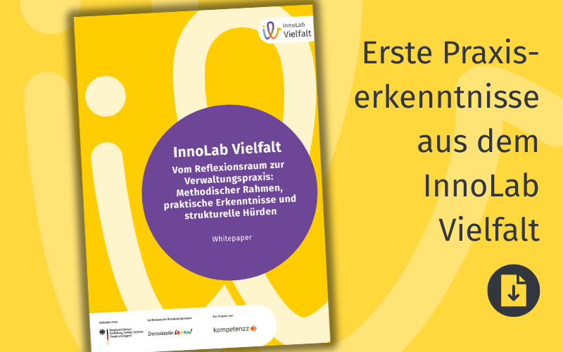 Grafik mit dem Titelbild des Whitepaper und der Aufschrift "Erste Praxiserkenntnisse aus dem InnoLab Vielfalt"